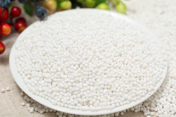 西米對身體有什么好處 西米對血糖有影響嗎 西米對身體有什么好處 西米對血糖有影響嗎