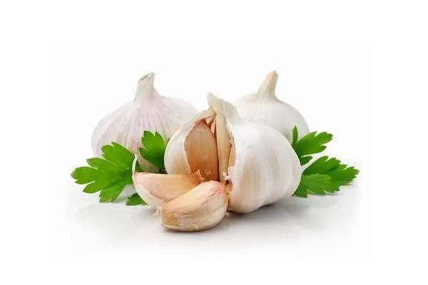 大蒜是熱性還是涼性 大蒜是酸性還是堿性 大蒜是熱性還是涼性 大蒜是酸性還是堿性