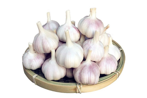 大蒜是熱性還是涼性 大蒜是酸性還是堿性 大蒜是熱性還是涼性 大蒜是酸性還是堿性