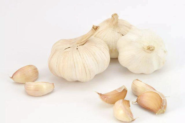 大蒜能不能生吃 大蒜生吃有什么作用 大蒜能不能生吃 大蒜生吃有什么作用
