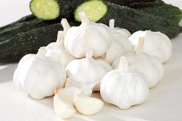 大蒜能不能生吃 大蒜生吃有什么作用 大蒜能不能生吃 大蒜生吃有什么作用