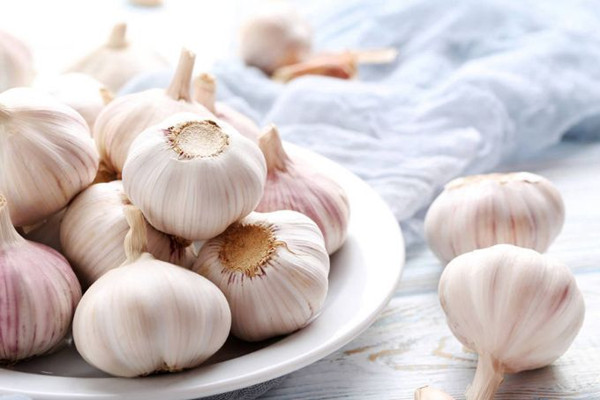 大蒜吃了會(huì)上火嗎 大蒜吃了會(huì)回奶嗎 大蒜吃了會(huì)上火嗎 大蒜吃了會(huì)回奶嗎