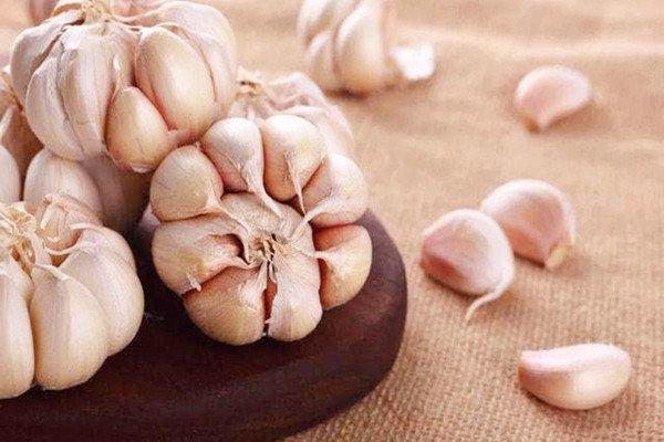 大蒜可以減肥嗎 大蒜減肥效果好嗎 大蒜可以減肥嗎 大蒜減肥效果好嗎