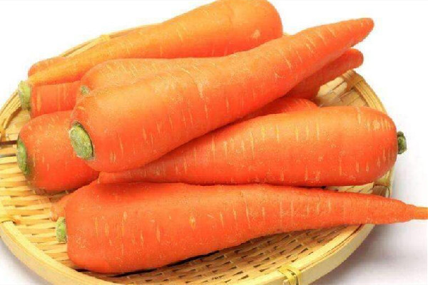胡蘿卜生吃和熟吃的功效有什么不同 胡蘿卜的功效和作用 胡蘿卜生吃和熟吃的功效有什么不同 胡蘿卜的功效和作用