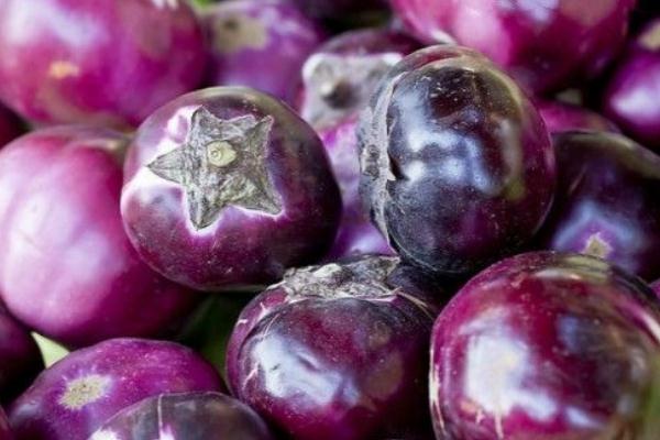 茄子對(duì)胃有好處嗎 茄子對(duì)眼睛有害嗎 茄子對(duì)胃有好處嗎 茄子對(duì)眼睛有害嗎