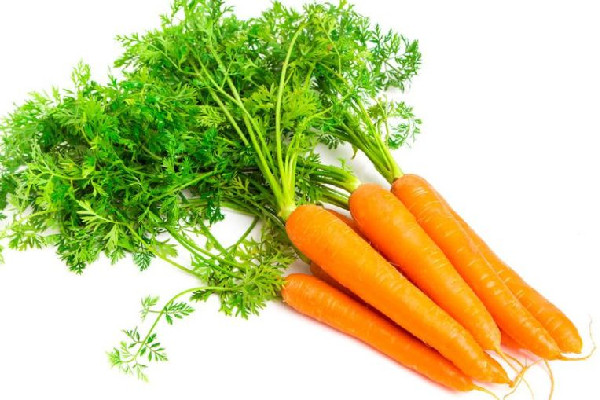 胡蘿卜可以隔夜吃嗎 胡蘿卜要不要過水 胡蘿卜可以隔夜吃嗎 胡蘿卜要不要過水