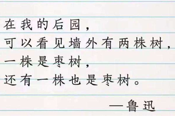 廢話文學(xué)是什么意思網(wǎng)絡(luò)用語 廢話文學(xué)是什么時候火的 廢話文學(xué)是什么意思網(wǎng)絡(luò)用語 廢話文學(xué)是什么時候火的