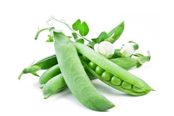 豌豆會上火嗎 豌豆會變黃嗎 豌豆會上火嗎 豌豆會變黃嗎