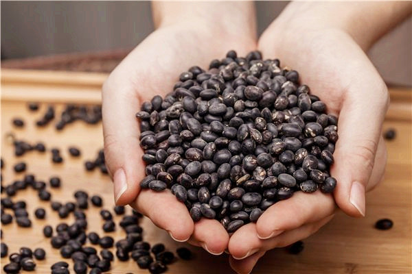 黑豆有助于生發(fā)嗎 黑豆是不是補(bǔ)腎的 黑豆有助于生發(fā)嗎 黑豆是不是補(bǔ)腎的