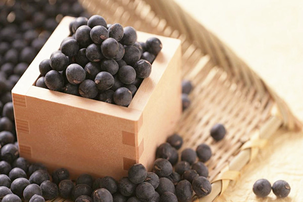 黑豆的營(yíng)養(yǎng)價(jià)值 黑豆吃多了有什么壞處