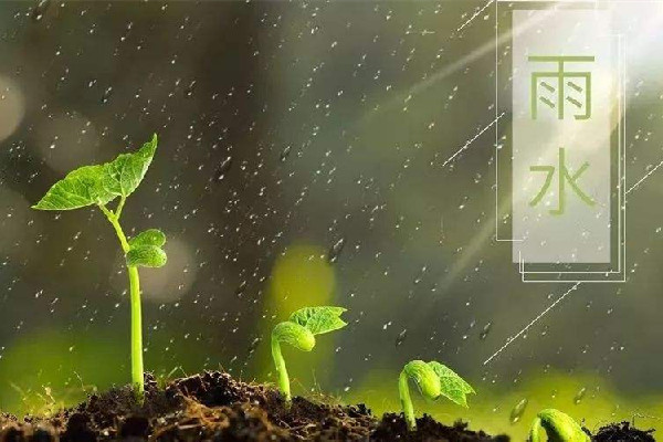 雨水節(jié)氣吃什么傳統(tǒng)食物 雨水節(jié)氣要吃面條嗎 雨水節(jié)氣吃什么傳統(tǒng)食物 雨水節(jié)氣要吃面條嗎