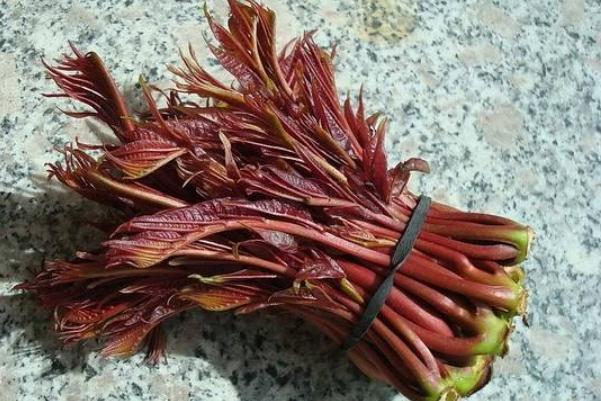 香椿的功效與作用 香椿的營養(yǎng)功效 香椿的功效與作用 香椿的營養(yǎng)功效