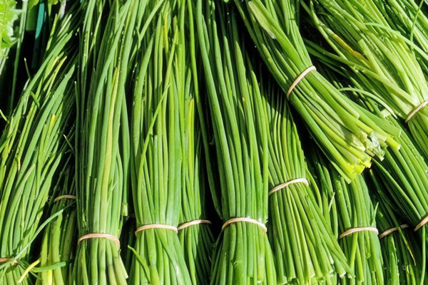 韭菜需要焯水嗎 韭菜吃了對傷口有影響嗎 韭菜需要焯水嗎 韭菜吃了對傷口有影響嗎