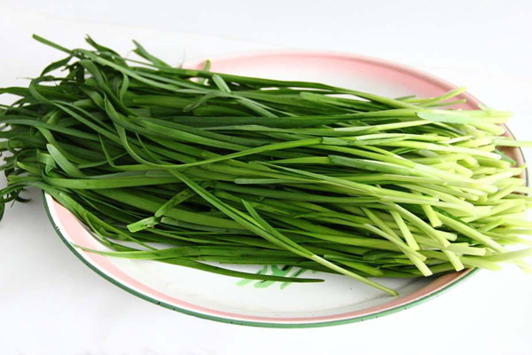 韭菜什么時(shí)候成熟 韭菜不適合什么人吃 韭菜什么時(shí)候成熟 韭菜不適合什么人吃