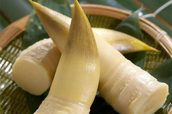 春筍不適合什么人吃 春筍不能和什么同時食用 春筍不適合什么人吃 春筍不能和什么同時食用