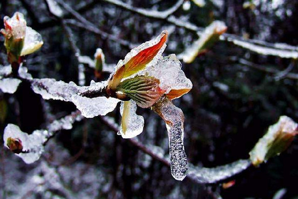 倒春寒有什么說法 2022年倒春寒什么時(shí)候開始 倒春寒有什么說法 2022年倒春寒什么時(shí)候開始