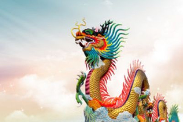 龍?zhí)ь^要吃什么東西 龍?zhí)ь^吃的龍耳是什么 龍?zhí)ь^要吃什么東西 龍?zhí)ь^吃的龍耳是什么