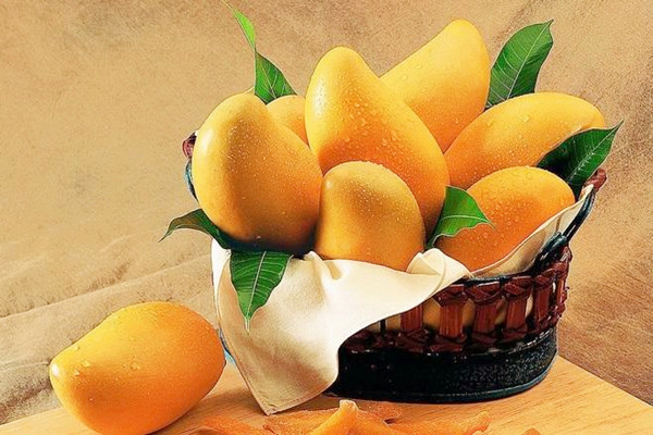 芒果的熱量高不高 芒果吃了會胖嗎 芒果的熱量高不高 芒果吃了會胖嗎