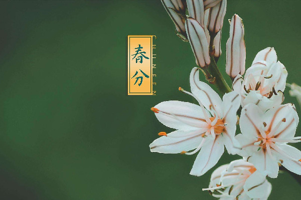 春分有什么講究 春分可以回娘家嗎 春分有什么講究 春分可以回娘家嗎