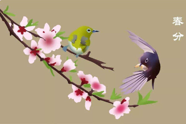 春分時太陽直射在什么地方 春分時候氣溫一般在多少度