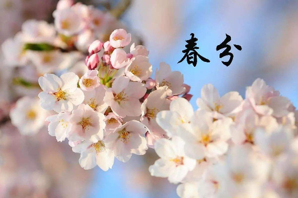 春分時(shí)太陽(yáng)直射在什么地方 春分時(shí)候氣溫一般在多少度