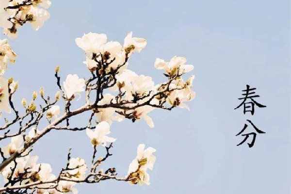 春分有什么講究 春分可以回娘家嗎 春分有什么講究 春分可以回娘家嗎