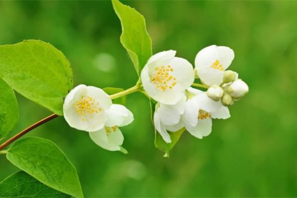 春分和立春有什么區(qū)別 春分以后會(huì)暖和嗎 春分和立春有什么區(qū)別 春分以后會(huì)暖和嗎