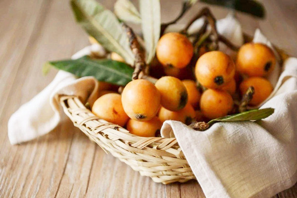 枇杷成熟季節(jié)是幾月份 枇杷是上火還是降火 枇杷成熟季節(jié)是幾月份 枇杷是上火還是降火