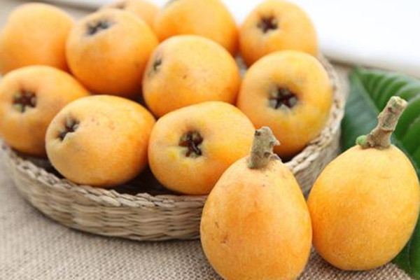 枇杷的熱量是多少 枇杷吃了長胖嗎 枇杷的熱量是多少 枇杷吃了長胖嗎