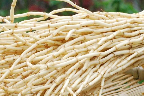 折耳根孕婦能吃嗎 折耳根孕婦吃了對(duì)胎兒有影響嗎 折耳根孕婦能吃嗎 折耳根孕婦吃了對(duì)胎兒有影響嗎