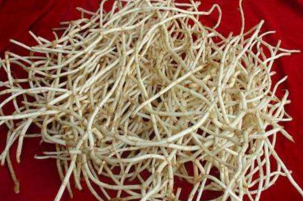 折耳根孕婦能吃嗎 折耳根孕婦吃了對(duì)胎兒有影響嗎 折耳根孕婦能吃嗎 折耳根孕婦吃了對(duì)胎兒有影響嗎