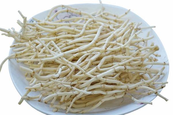 折耳根有幾種叫法 折耳根有馬兜鈴酸嗎 折耳根有幾種叫法 折耳根有馬兜鈴酸嗎