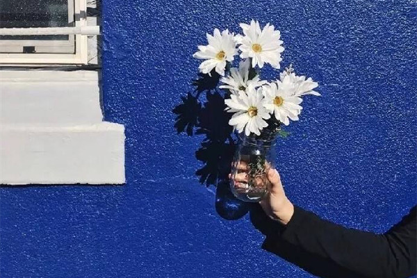 克萊因藍(lán)代表什么寓意 克萊因藍(lán)的由來(lái)