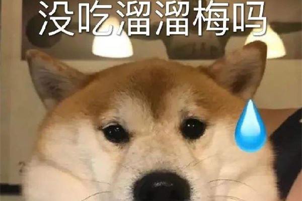 沒(méi)事就吃溜溜梅什么意思 沒(méi)事就吃溜溜梅你別管我了什么梗 沒(méi)事就吃溜溜梅什么意思 沒(méi)事就吃溜溜梅你別管我了什么梗