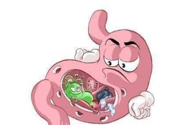 感染幽門螺旋桿菌后有哪些癥狀 幽門螺旋桿菌是什么 感染幽門螺旋桿菌后有哪些癥狀 幽門螺旋桿菌是什么