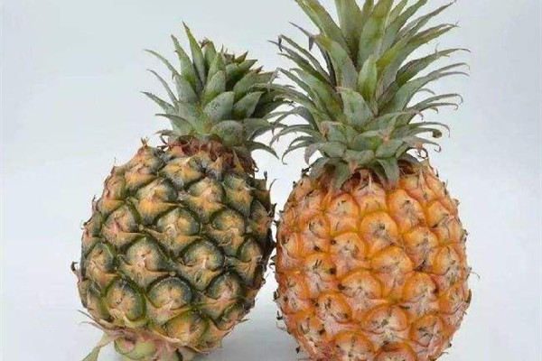 菠蘿切開心是褐色的能吃嗎 菠蘿變質(zhì)是什么樣的