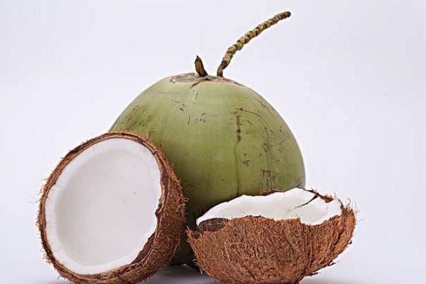椰子怎樣才能打開(kāi) 椰子上火還是降火