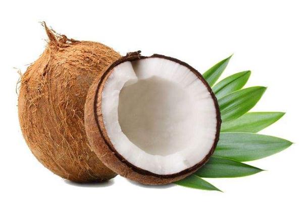 椰子孕婦能吃嗎 椰子孕婦吃了有什么好處 椰子孕婦能吃嗎 椰子孕婦吃了有什么好處