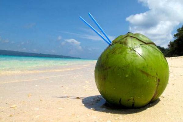 椰子孕婦能吃嗎 椰子孕婦吃了有什么好處 椰子孕婦能吃嗎 椰子孕婦吃了有什么好處