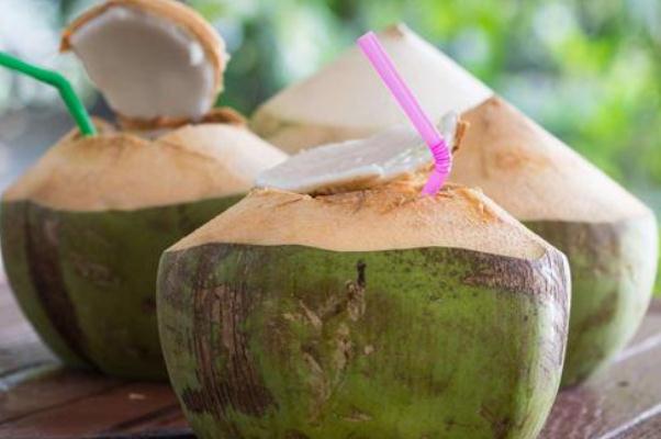 椰子的味道是什么味道 椰子的季節(jié)是什么時候 椰子的味道是什么味道 椰子的季節(jié)是什么時候