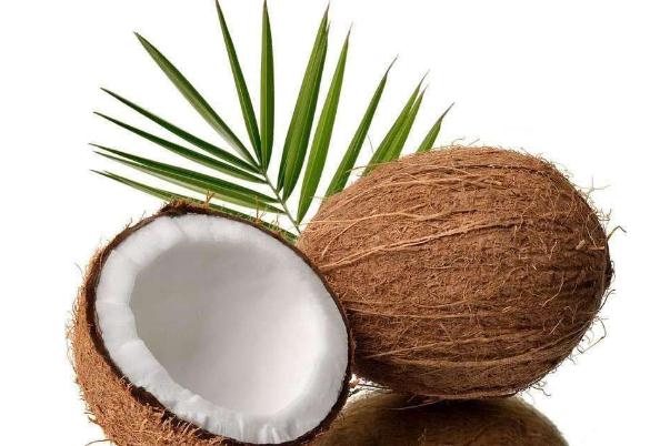 椰子的味道是什么味道 椰子的季節(jié)是什么時候 椰子的味道是什么味道 椰子的季節(jié)是什么時候