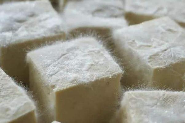 毛豆腐要不要通風(fēng) 毛豆腐要冷藏嗎 毛豆腐要不要通風(fēng) 毛豆腐要冷藏嗎