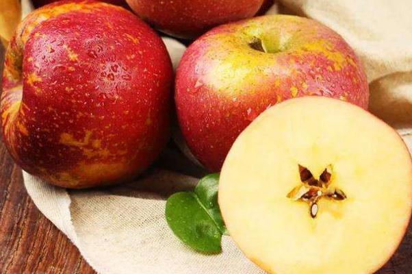 丑蘋果產(chǎn)地最出名是哪 丑蘋果和普通蘋果區(qū)別 丑蘋果產(chǎn)地最出名是哪 丑蘋果和普通蘋果區(qū)別