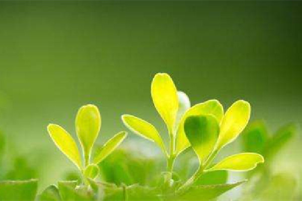 春捂是哪個節(jié)氣后的事 春捂有什么好處 春捂是哪個節(jié)氣后的事 春捂有什么好處