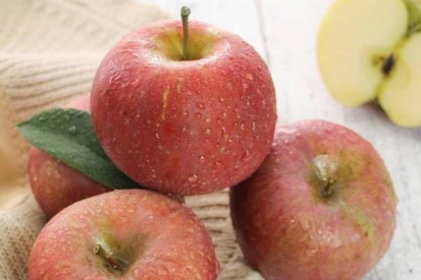 丑蘋(píng)果為什么叫丑蘋(píng)果 丑蘋(píng)果什么季節(jié)成熟