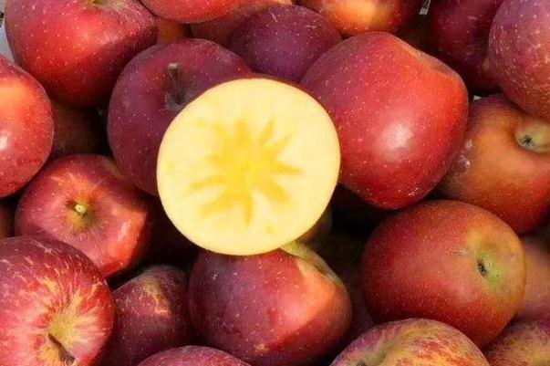 丑蘋果產(chǎn)地最出名是哪 丑蘋果和普通蘋果區(qū)別 丑蘋果產(chǎn)地最出名是哪 丑蘋果和普通蘋果區(qū)別