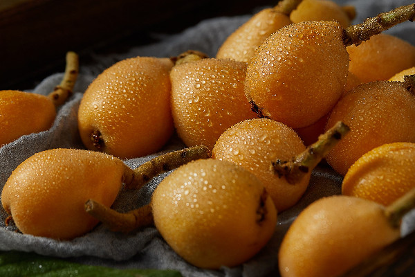 枇杷可以煮著吃嗎 枇杷和蜂蜜一起可以止咳嗎 枇杷可以煮著吃嗎 枇杷和蜂蜜一起可以止咳嗎