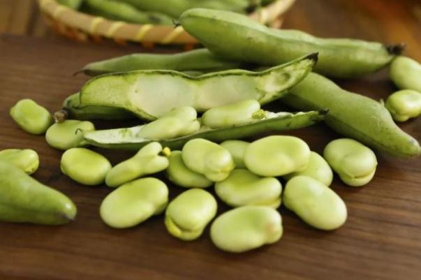 蠶豆和什么一起炒好吃 蠶豆相克的食物 蠶豆和什么一起炒好吃 蠶豆相克的食物