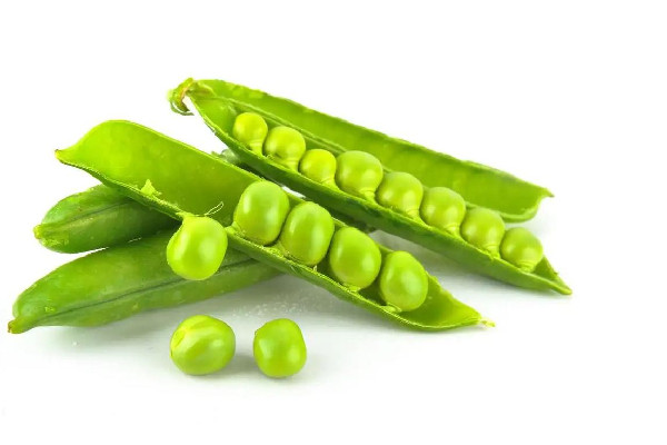 青豆要煮多久才熟 青豆不熟會(huì)中毒嗎 青豆要煮多久才熟 青豆不熟會(huì)中毒嗎