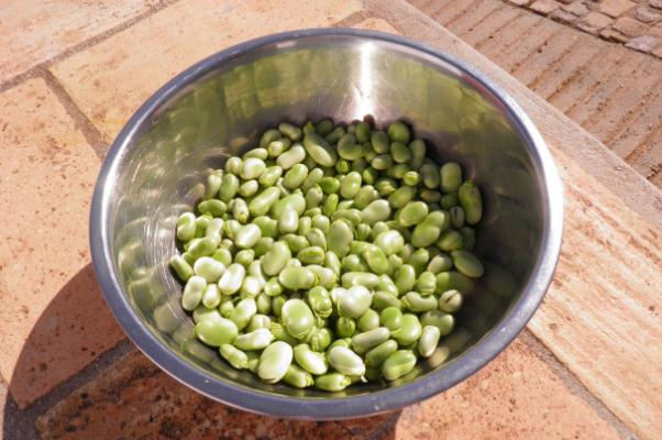 蠶豆有三種人不能吃 蠶豆有苦味還能吃嗎 蠶豆有三種人不能吃 蠶豆有苦味還能吃嗎